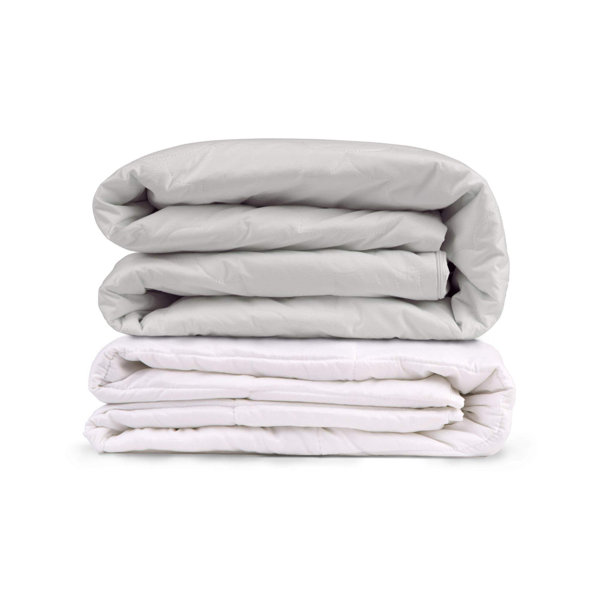 Red Barrel Studio® Catwell Weighted Blanket Wayfair